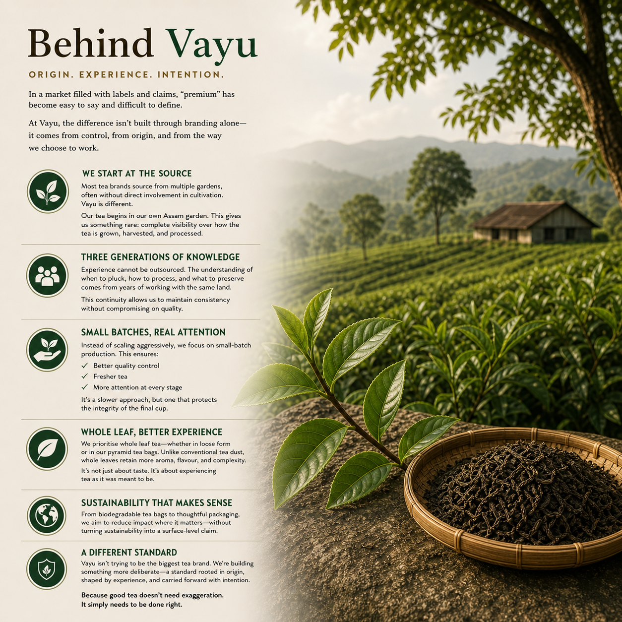 What Makes Vayu Tea Different: From Garden Ownership to Craft