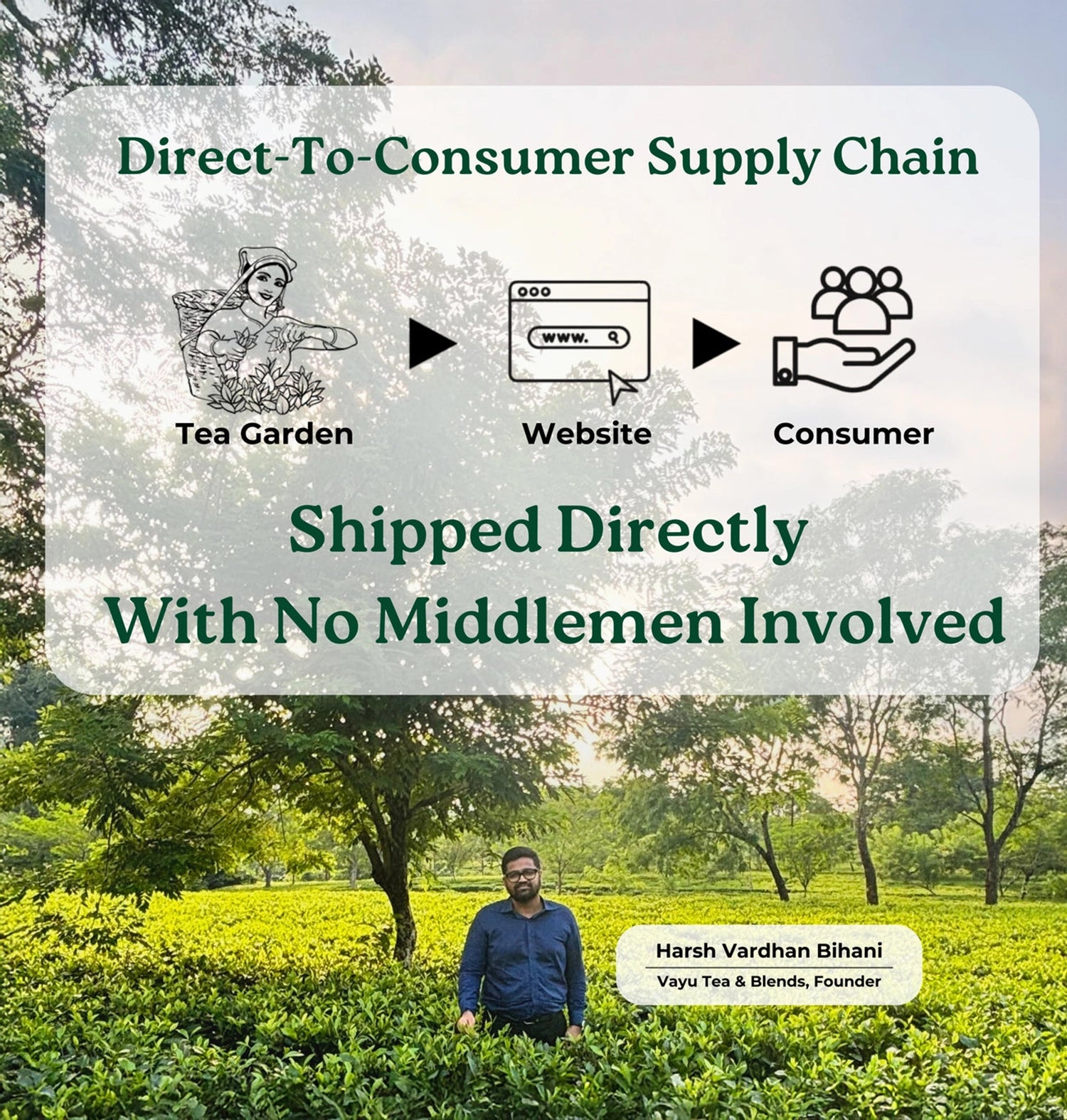 Assam Afternoons (Krishna Tulsi, Rama Tulsi & Lavender)