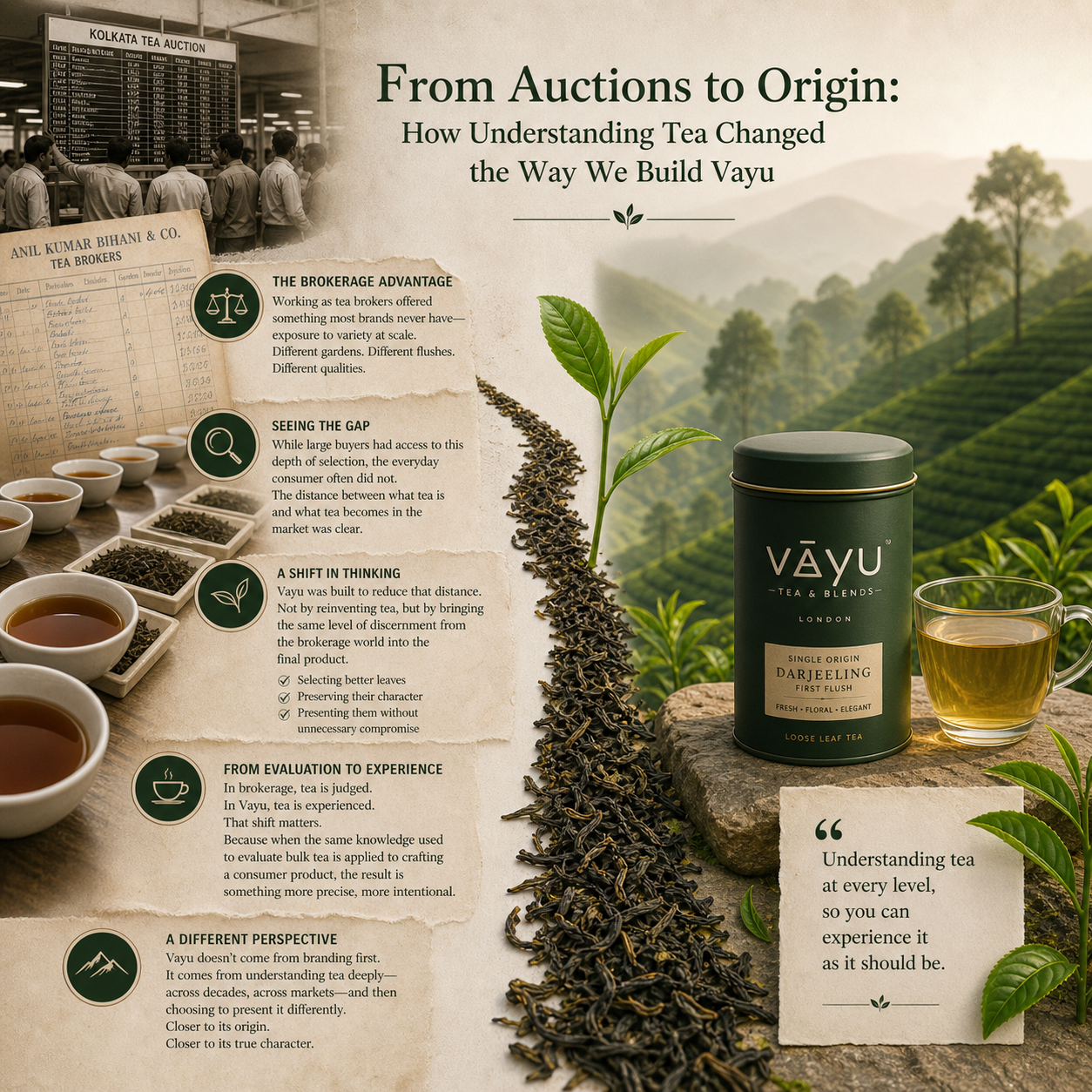From Auctions to Origin: How Understanding Tea Changed the Way We Build Vayu