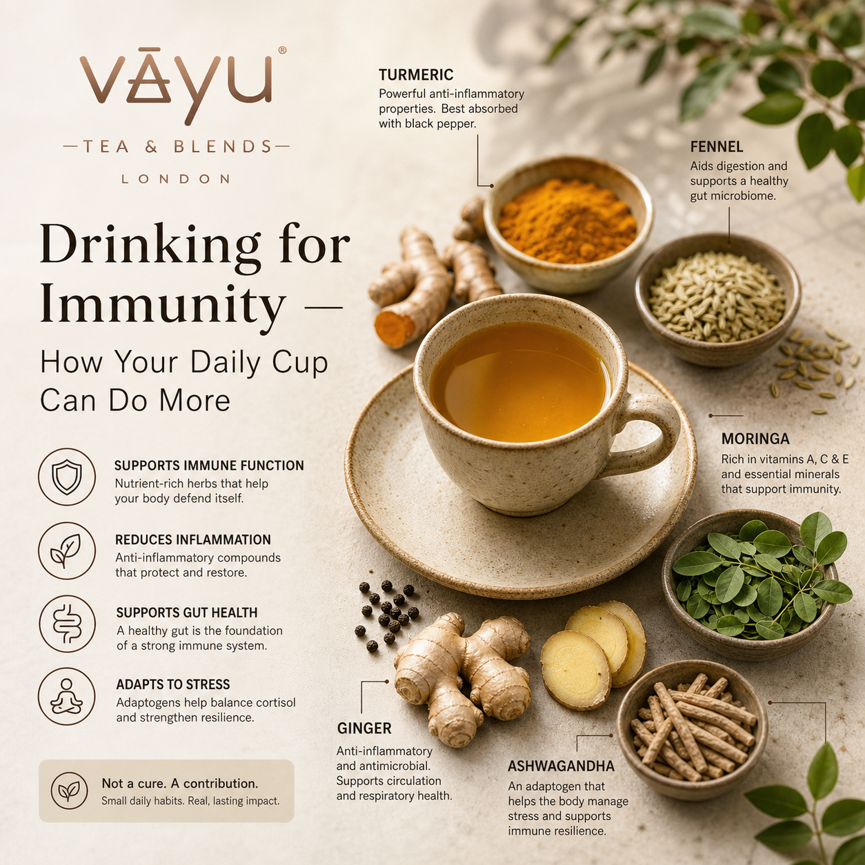 Drinking for Immunity — How Your Daily Cup Can Do More