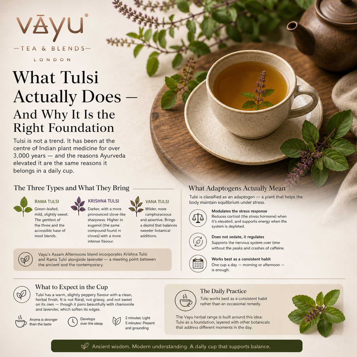 What Tulsi Actually Does — And Why It Is the Right Foundation