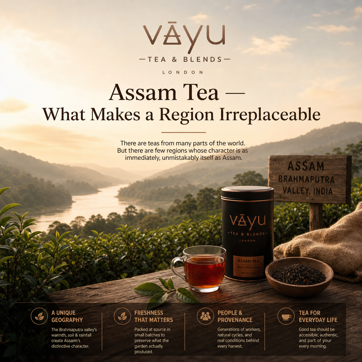 Assam Tea — What Makes a Region Irreplaceable