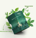 Moroccan Mint (Pure Mint)
